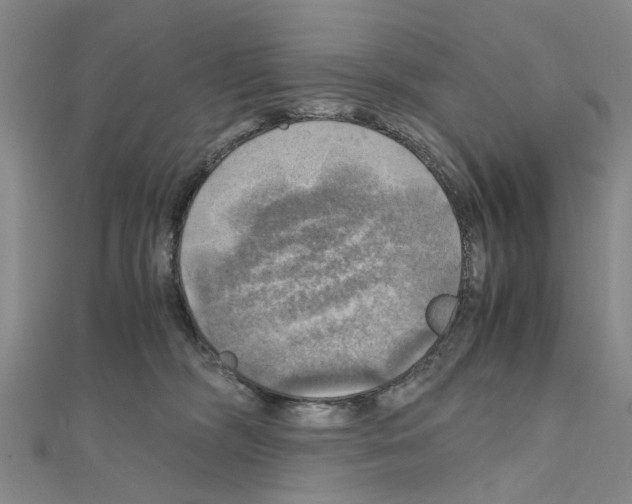 X0000111030326200908061441