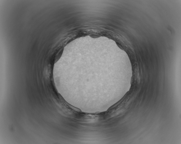 X0000111030328200908061441
