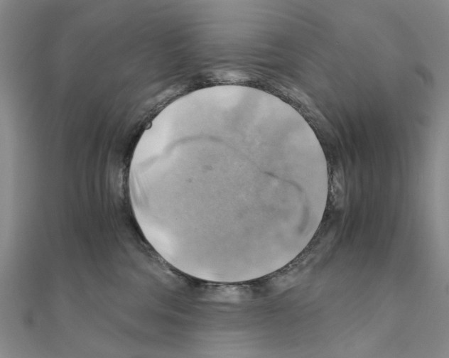 X0000111030330200908061441