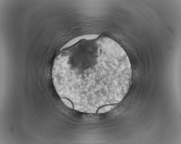 X0000111030331200908061441