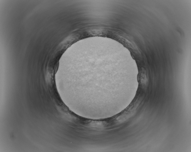 X0000111030332200908061441