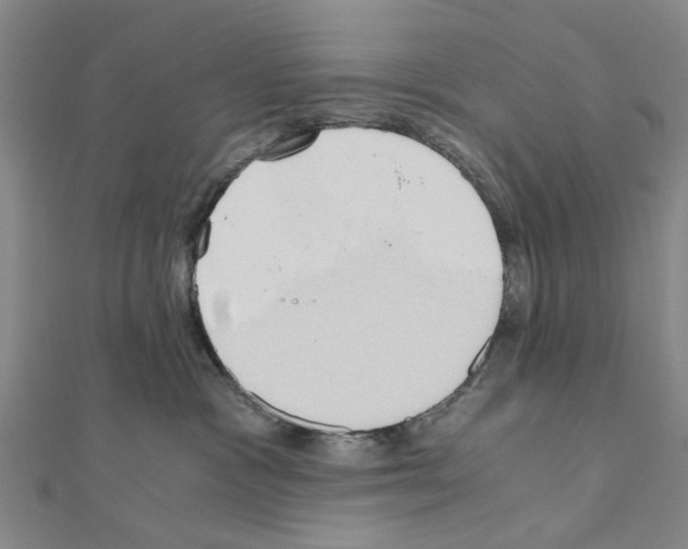 X0000111030333200908061441