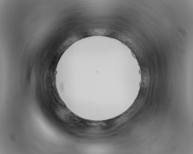 X0000111030334200908061441