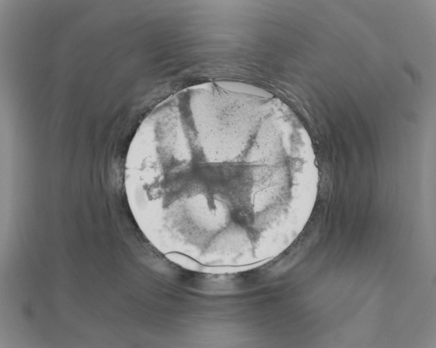 X0000111030335200908061441