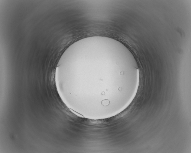 X0000111030336200908061441