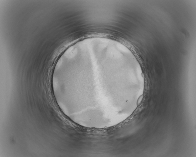 X0000111030337200908061440