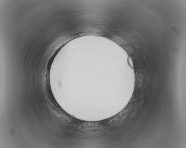 X0000111030338200908061440