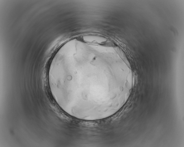 X0000111030339200908061440