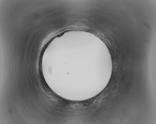 X0000111030340200908061440