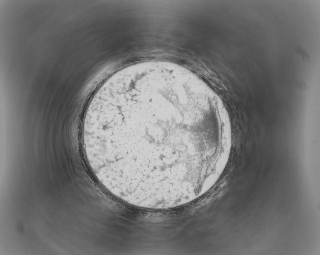 X0000111030341200908061440