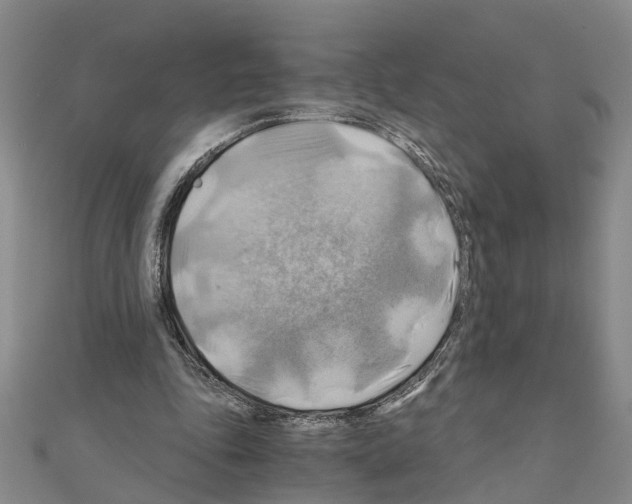 X0000111030343200908061440