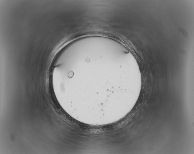 X0000111030344200908061440