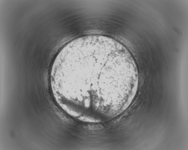 X0000111030345200908061440