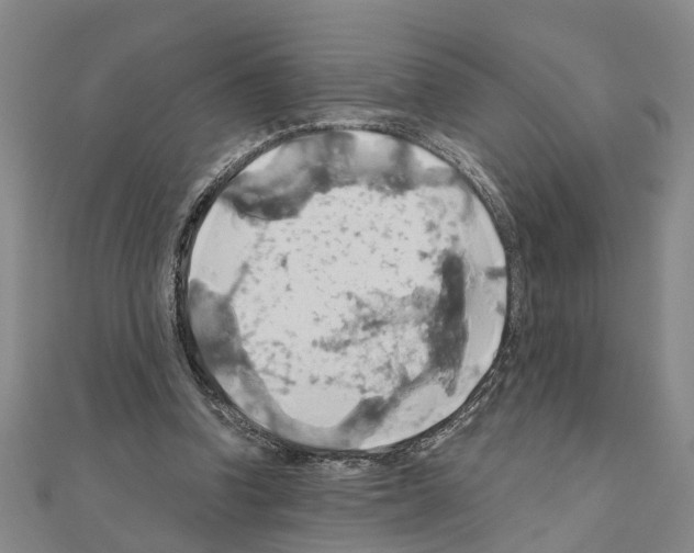 X0000111030346200908061440