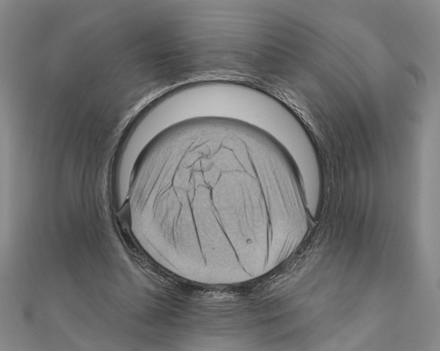 X0000111030348200908061441