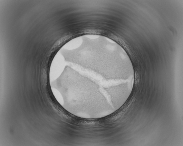 X0000111030349200908061441