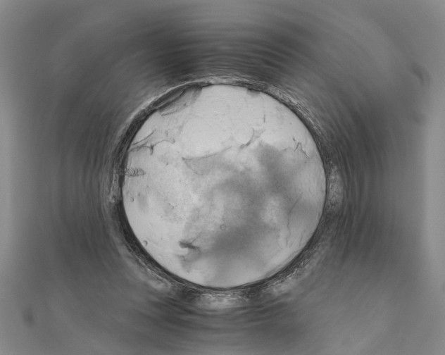 X0000111030351200908061441