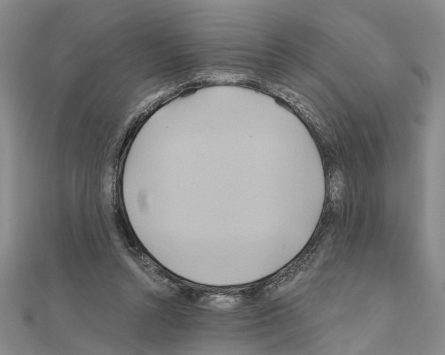 X0000111030352200908061441