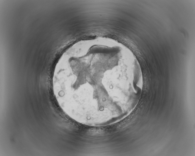X0000111030354200908061441
