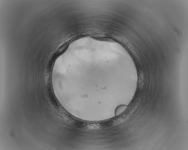 X0000111030355200908061441
