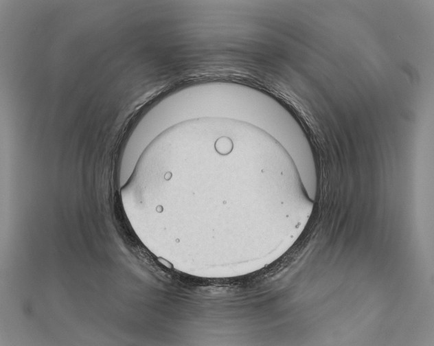 X0000111030356200908061441