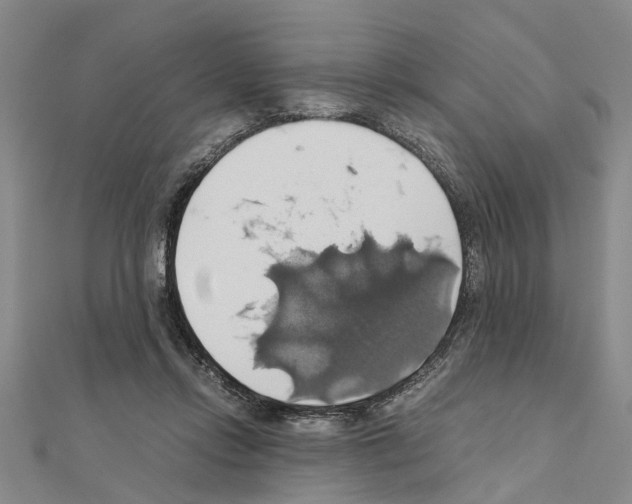 X0000111030358200908061441