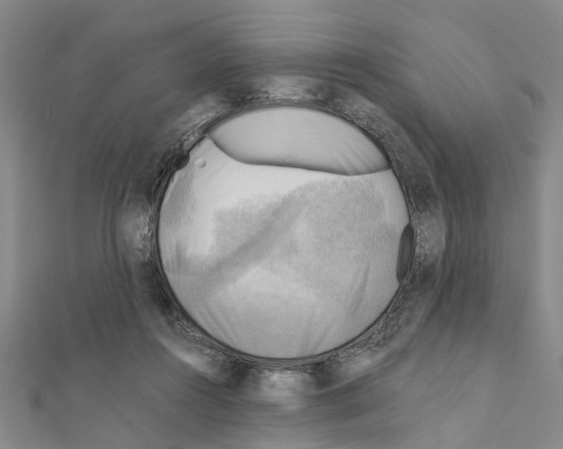 X0000111030360200908061441