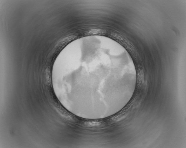 X0000111030361200908061441