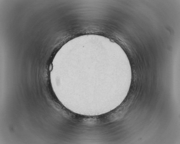 X0000111030362200908061441