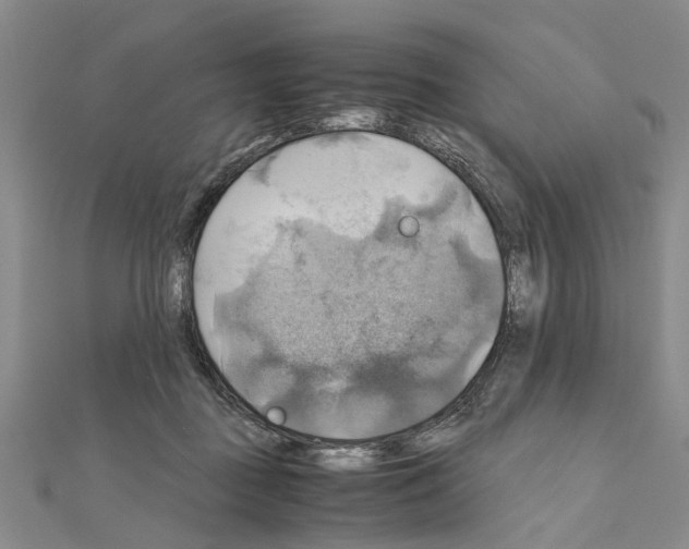 X0000111030363200908061441
