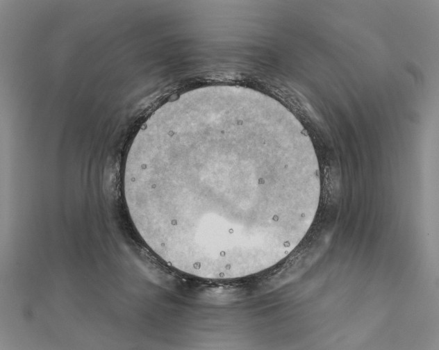 X0000111030364200908061441