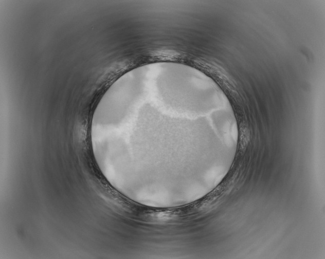 X0000111030365200908061441