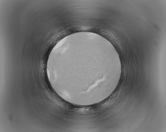 X0000111030366200908061441