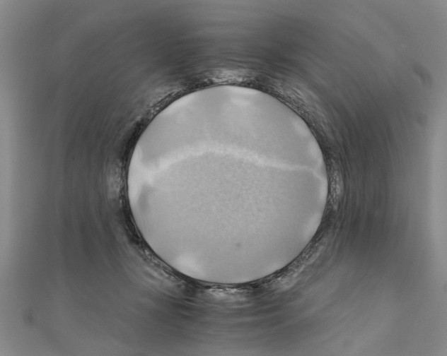 X0000111030367200908061441