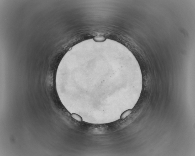 X0000111030368200908061441