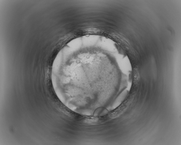 X0000111030369200908061441