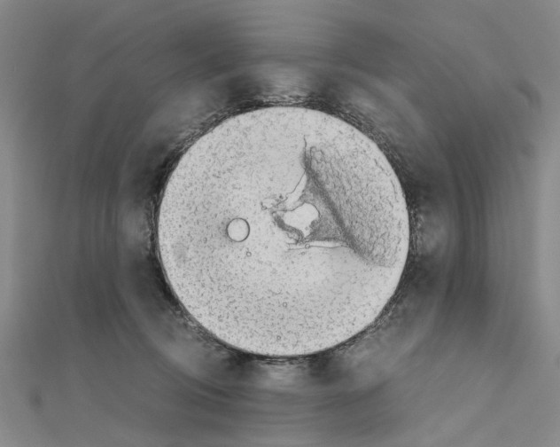 X0000111030370200908061441