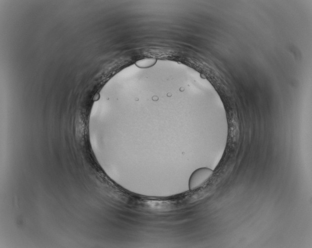 X0000111030371200908061441
