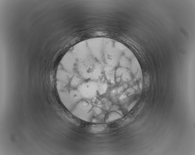 X0000111030373200908061441