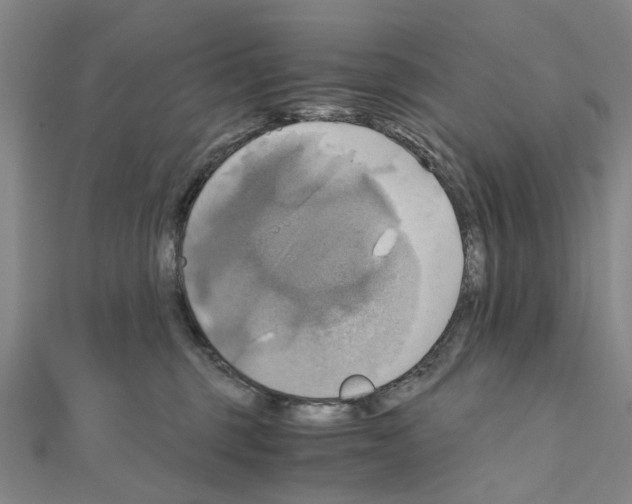 X0000111030375200908061441