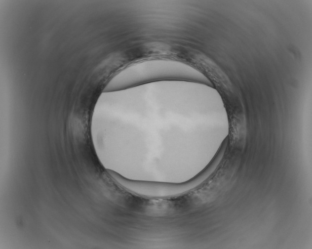 X0000111030376200908061441