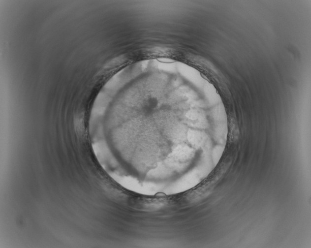 X0000111030377200908061441