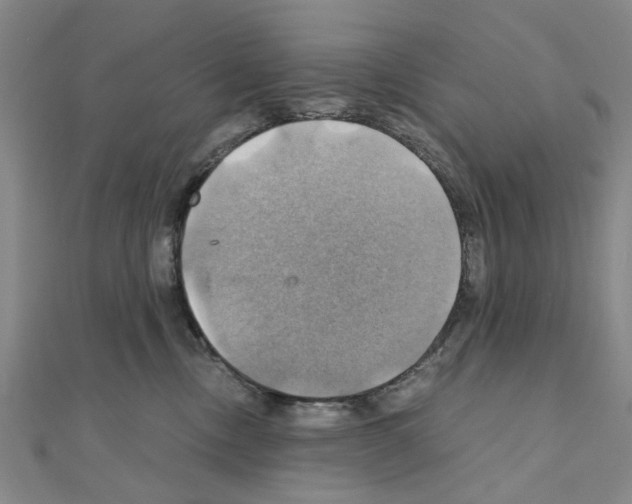 X0000111030378200908061441