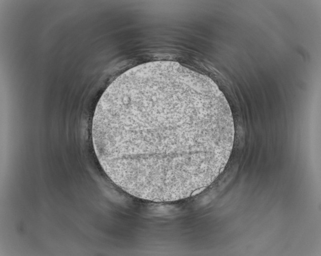 X0000111030379200908061441