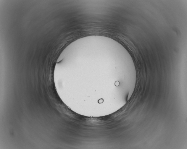 X0000111030380200908061441
