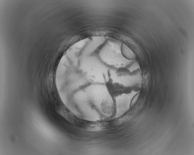 X0000111030381200908061441