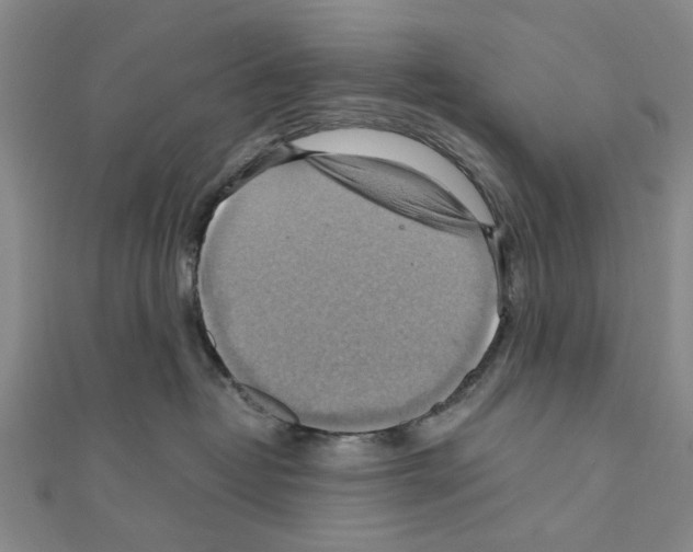 X0000111030382200908061441