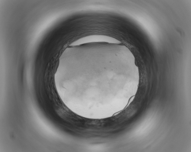 X0000111030383200908061441