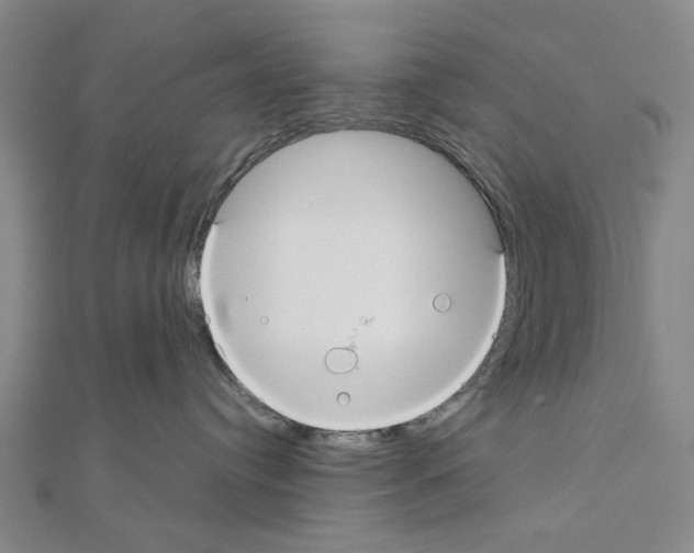 X0000111030384200908061441