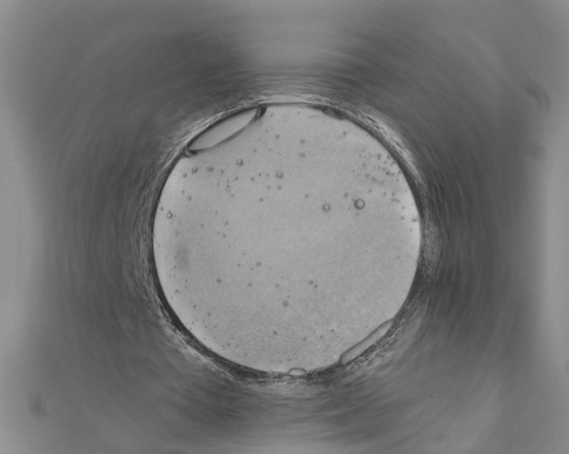 X0000111030385200908061440